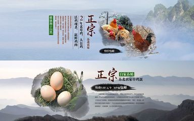 綠色田園，健康生活——優(yōu)質(zhì)農(nóng)產(chǎn)品展